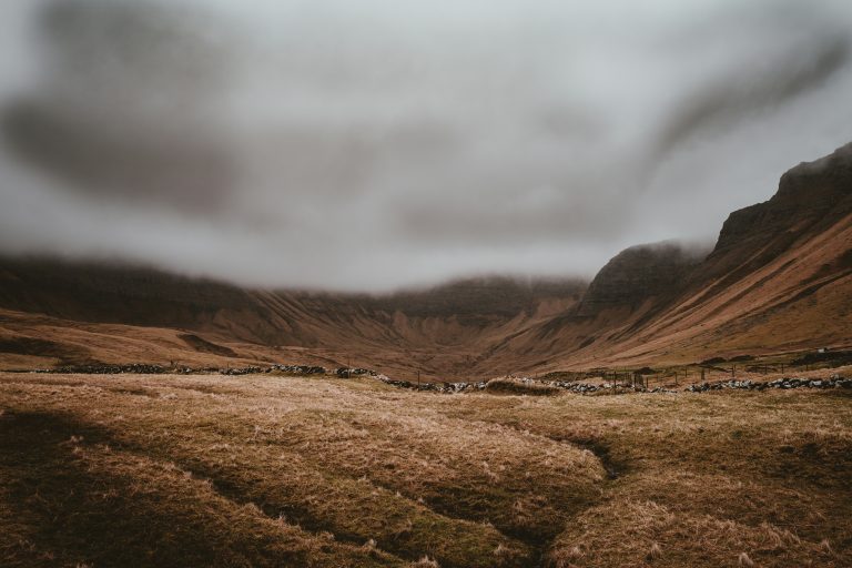 Cowardly and Cruel in the Wilderness